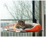 Home | Best Pet Sitter in The Woodlands, Texas | Pawsitively Petsitting
