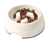 bowl | Best Pet Sitter in The Woodlands, Texas | Pawsitively Petsitting