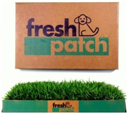 fresh | Best Pet Sitter in The Woodlands, Texas | Pawsitively Petsitting