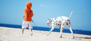 | Best Pet Sitter in The Woodlands, Texas | Pawsitively Petsitting