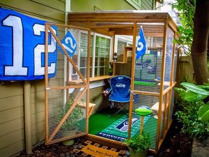 catio-cat-enclosure-Seahawks | Best Pet Sitter in The Woodlands, Texas | Pawsitively Petsitting
