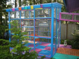 catio-cat-enclosure-exterior-colorful | Best Pet Sitter in The Woodlands, Texas | Pawsitively Petsitting