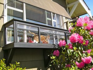 catio-cat-enclosure-window-box | Best Pet Sitter in The Woodlands, Texas | Pawsitively Petsitting